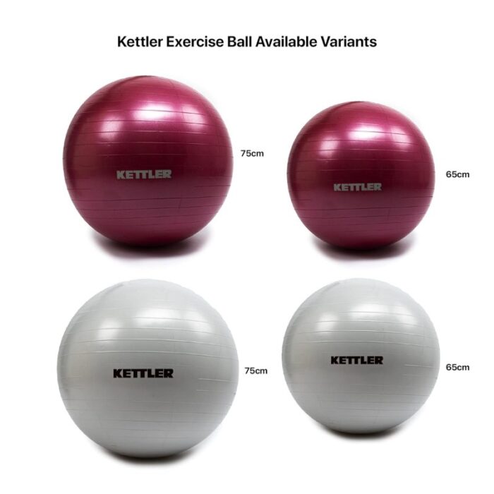 exercice ball (ballon gym) kettler 65cm